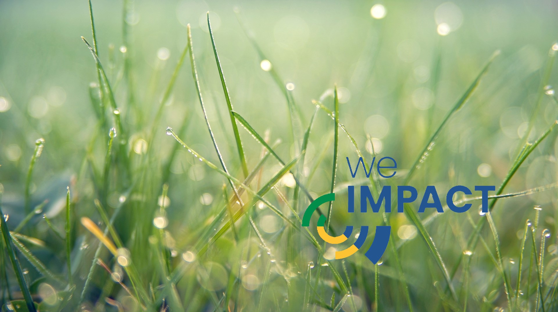 Das Nachhaltigkeitsmanagementsystem We Impact ist nun am Markt verfügbar.