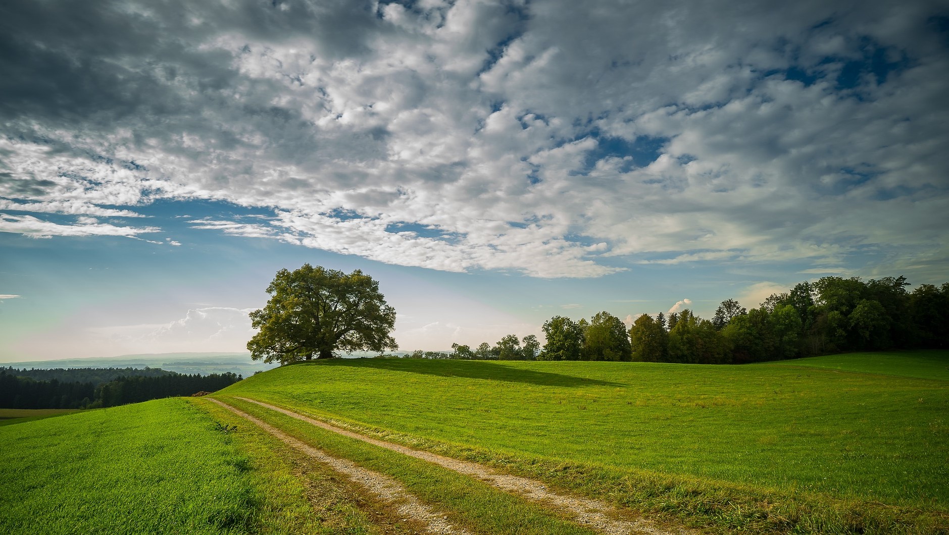 Forschungsprojekt zu den CSRD-Berichtsstandards in Auftrag des Umweltbundesamts