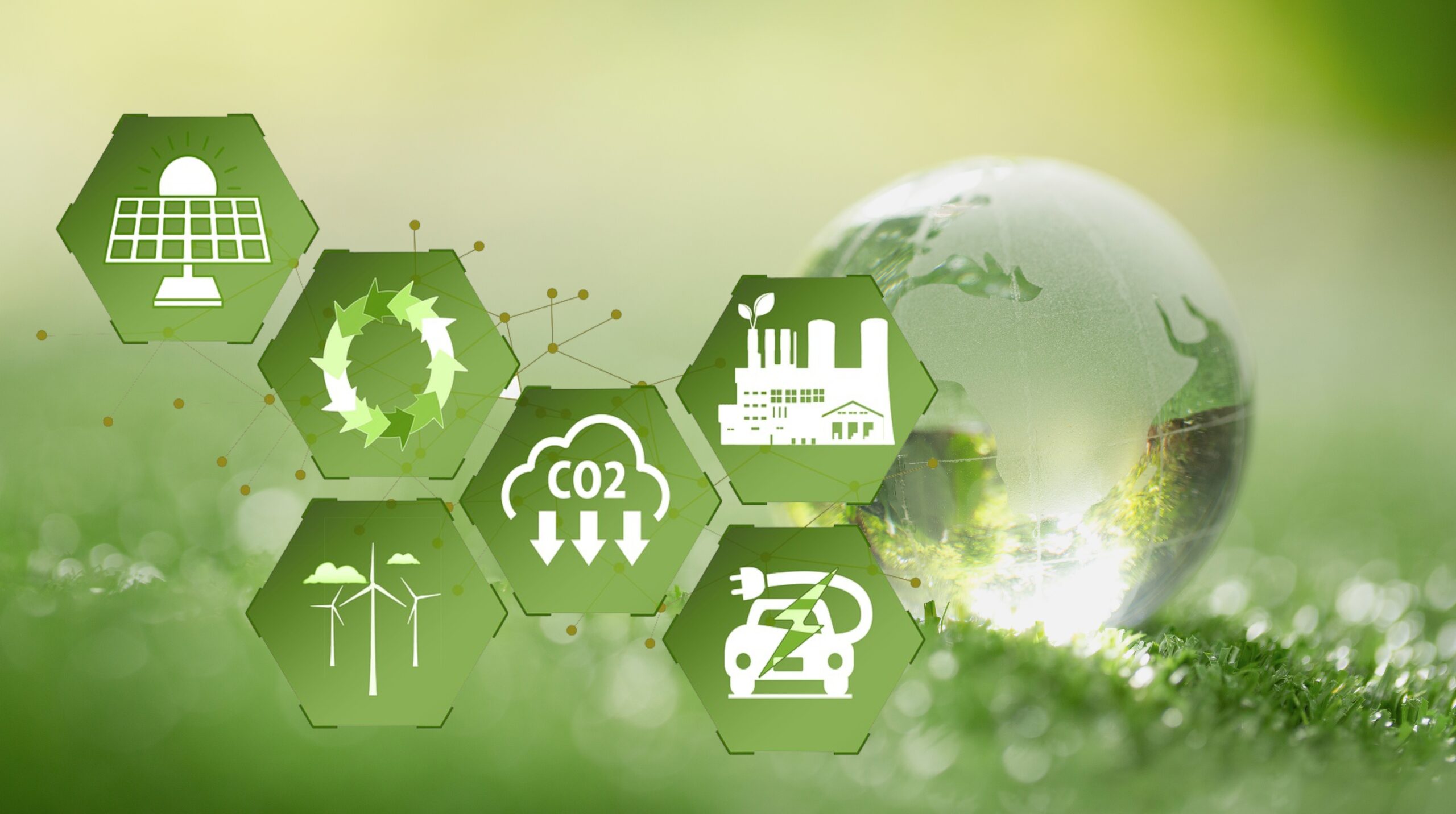 Transformationspläne von Unternehmen und Anlagen - das Umweltmanagementsystem EMAS als Grundlage