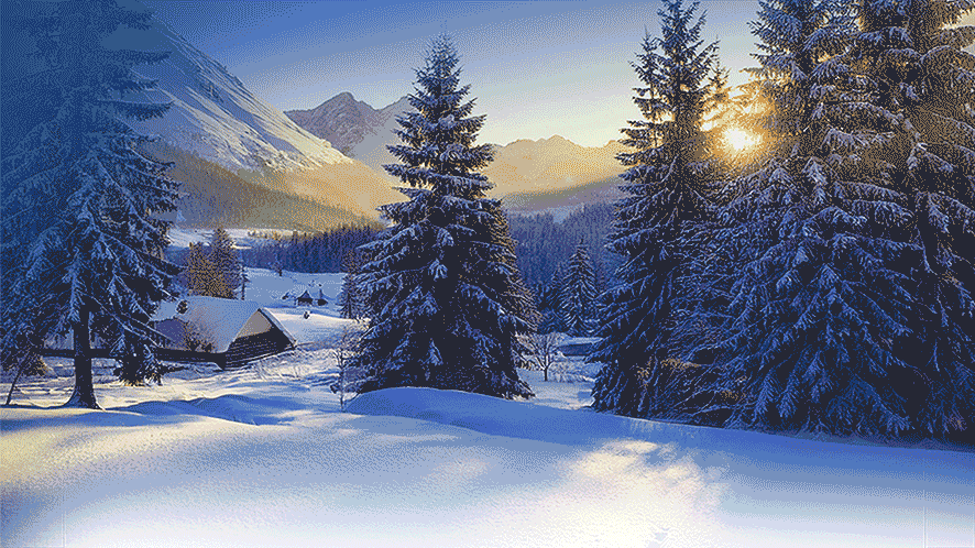 Arqum wünscht Frohe Weihnachten