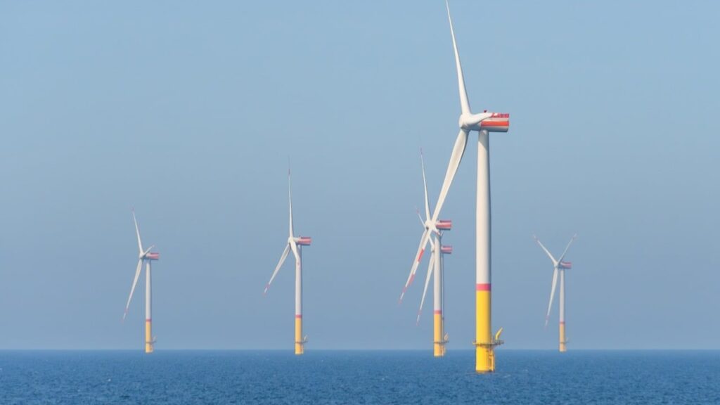SBTi Net-Zero Standard 2.0: Mehr Fokus auf Umsetzung und Transformation