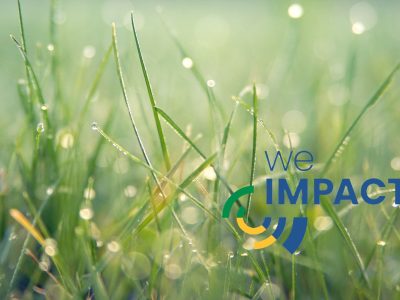 Das Nachhaltigkeitsmanagementsystem We Impact ist nun am Markt verfügbar.