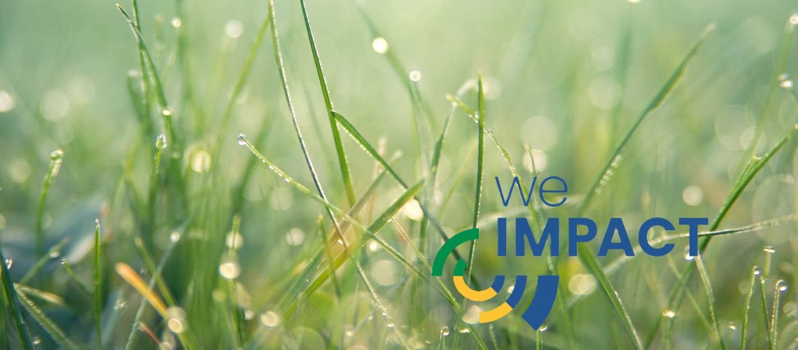 Das Nachhaltigkeitsmanagementsystem We Impact ist nun am Markt verfügbar.