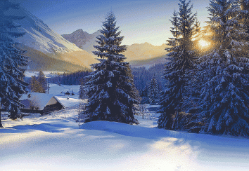 Arqum wünscht Frohe Weihnachten