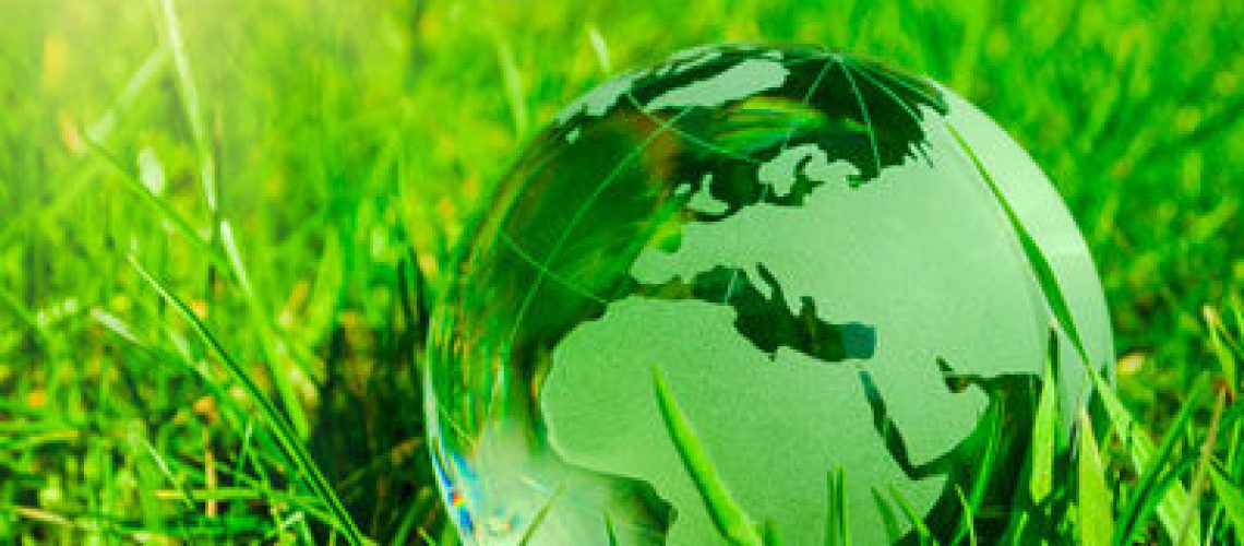 Für viele lokale Unternehmen ist es wichtig, die Anforderungen von nachhaltigen Lieferketten zu erfüllen.