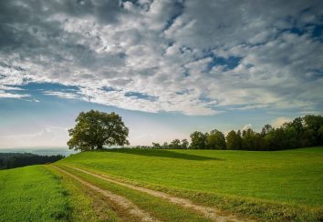 Forschungsprojekt zu den CSRD-Berichtsstandards in Auftrag des Umweltbundesamts