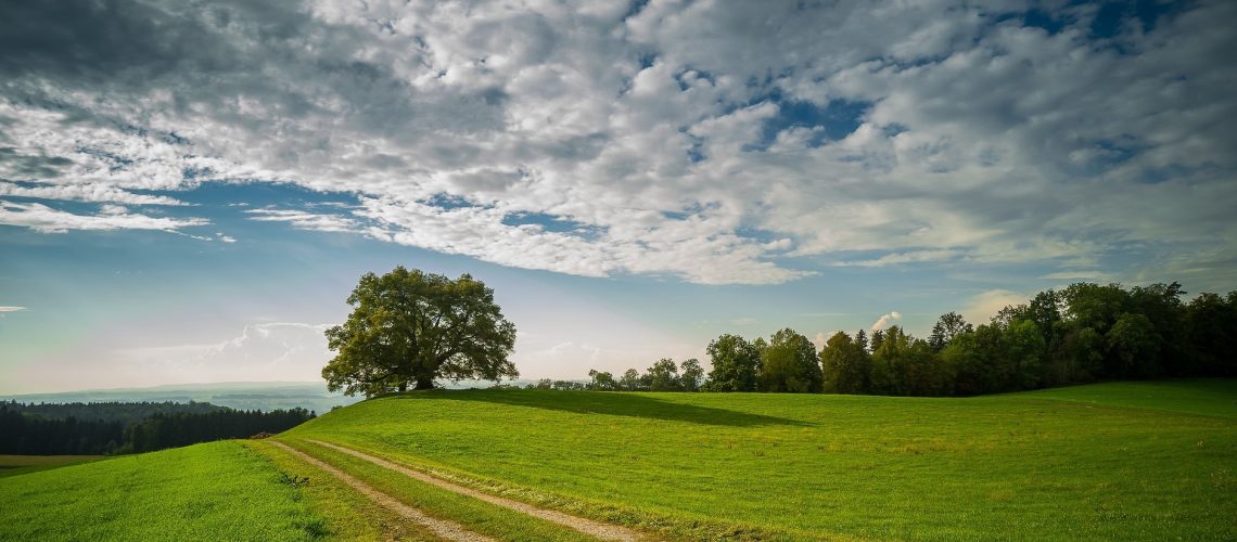 Forschungsprojekt zu den CSRD-Berichtsstandards in Auftrag des Umweltbundesamts