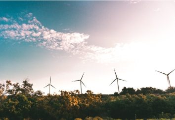 Arqum legt die ersten Gold Standard Zertifikate still, die aus dem Betrieb eines Windparks in Indien stammen.